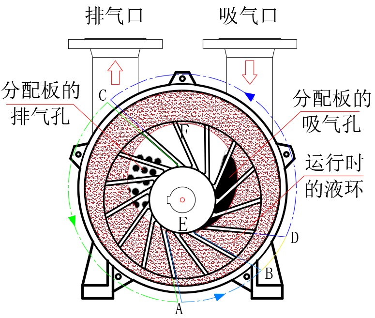 液环式水环星空官方网站-星空online（中国）结构原理图